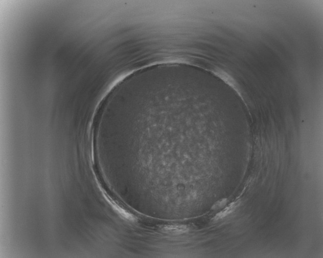 X0000067461127200604142318