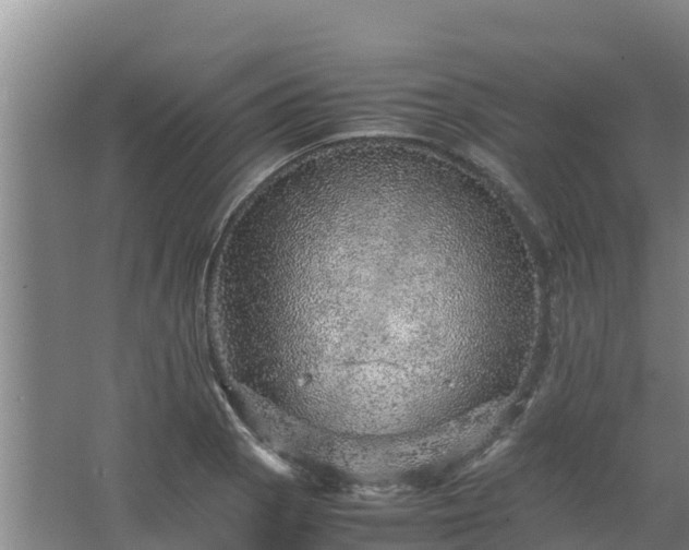 X0000067461129200604142318