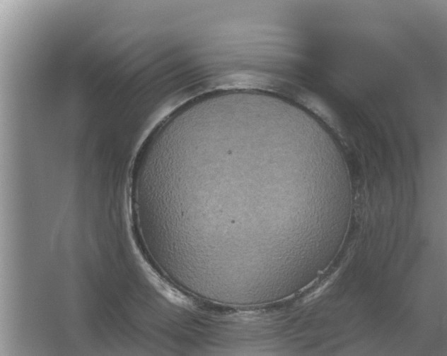 X0000067461130200604142318