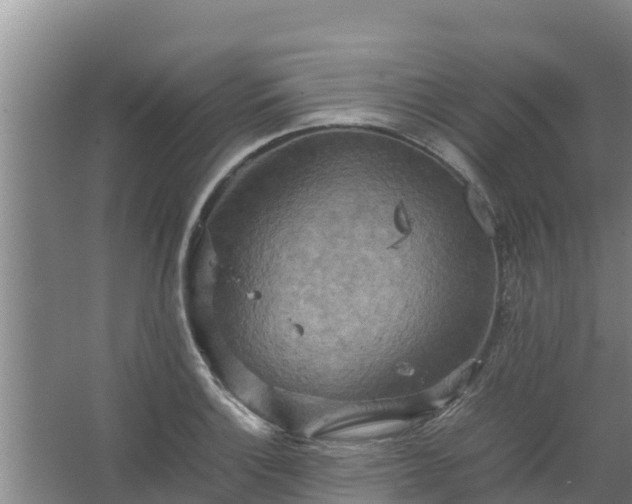 X0000067461132200604142318