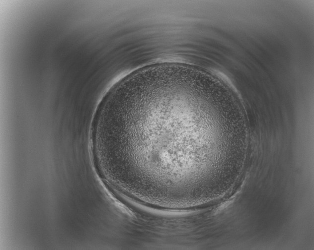 X0000067461133200604142318