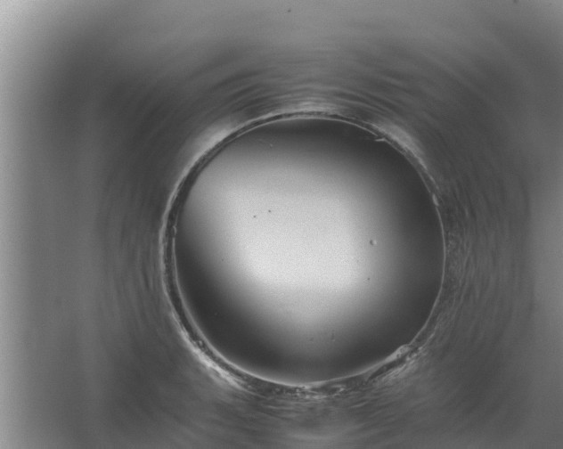 X0000067461135200604142318