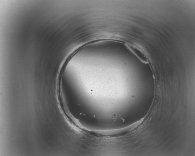 X0000067461136200604142318