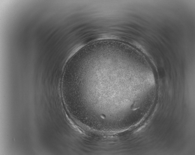 X0000067461137200604142318