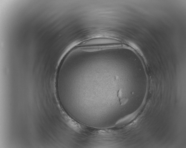 X0000067461138200604142318