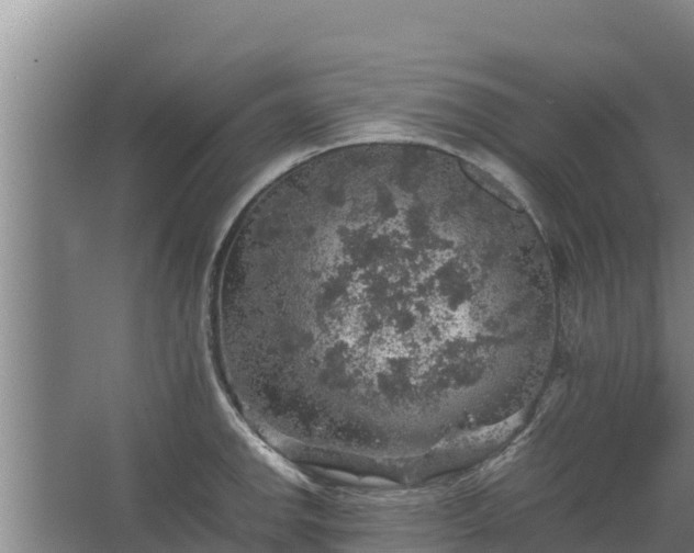 X0000067461142200604142318