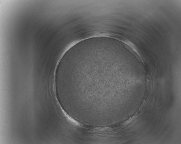 X0000067461143200604142318