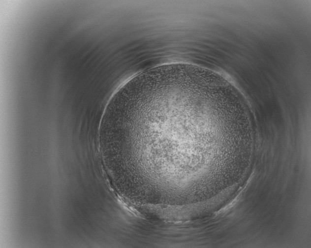 X0000067461145200604142318