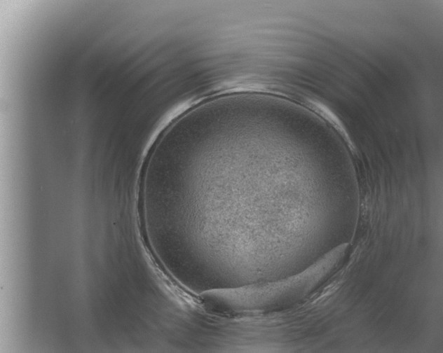 X0000067461146200604142318