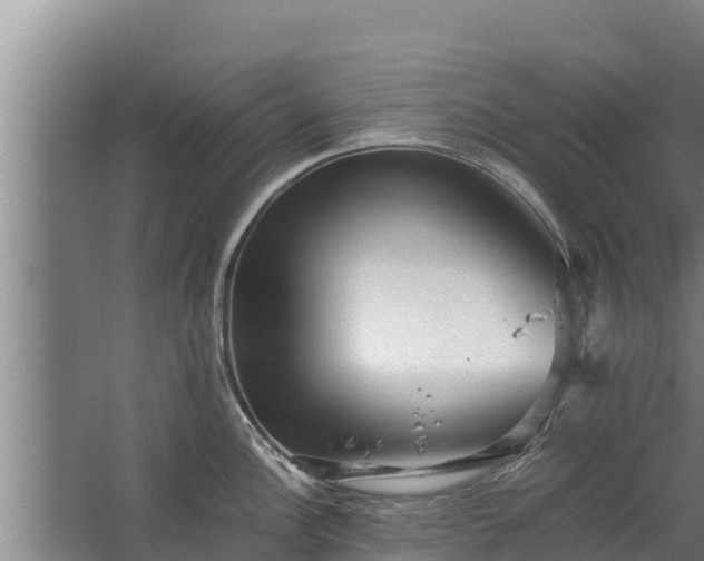 X0000067461148200604142318