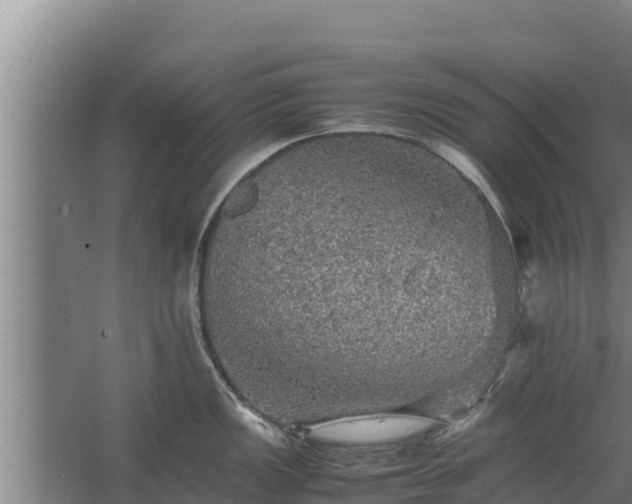 X0000067461149200604142318