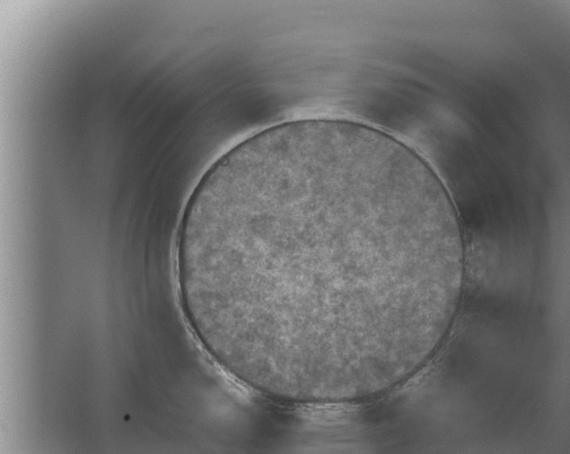 X0000067461150200604142318