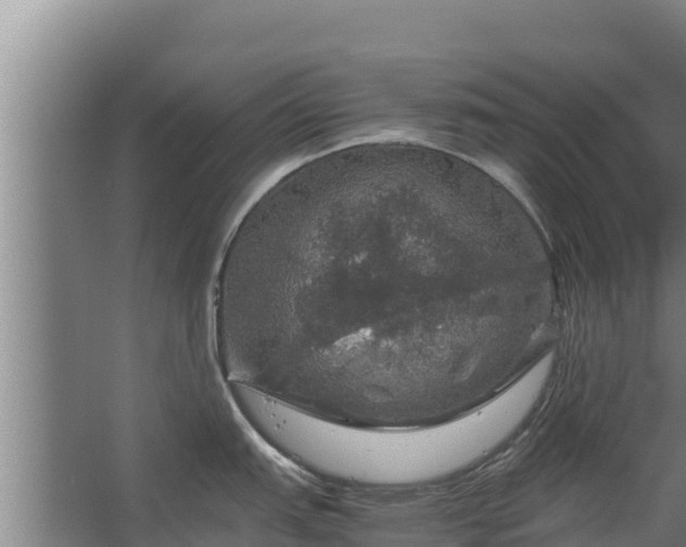 X0000067461151200604142318