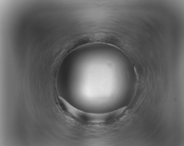 X0000067461153200604142317