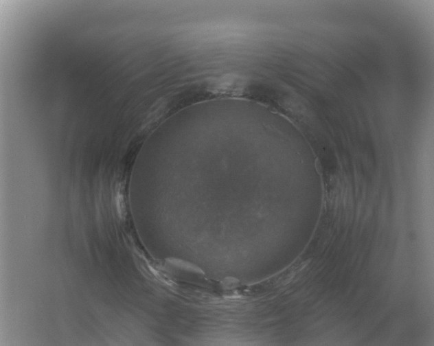 X0000067461154200604142317