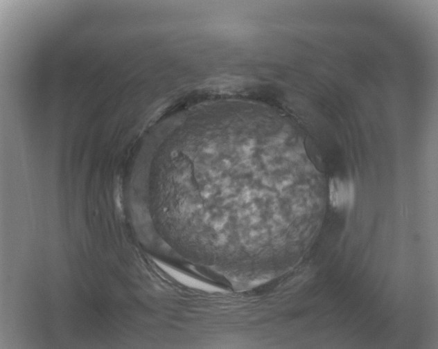 X0000067461155200604142317