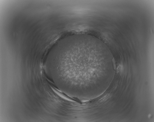 X0000067461156200604142317