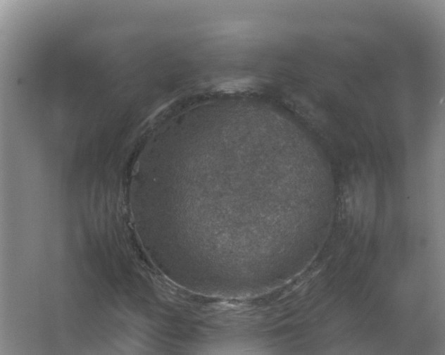 X0000067461158200604142317