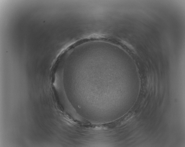 X0000067461160200604142317