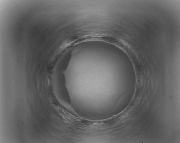 X0000067461161200604142317