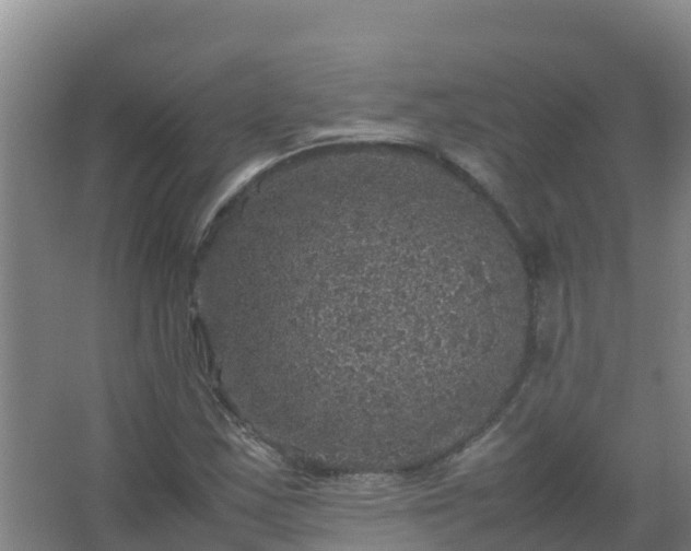 X0000067461163200604142317