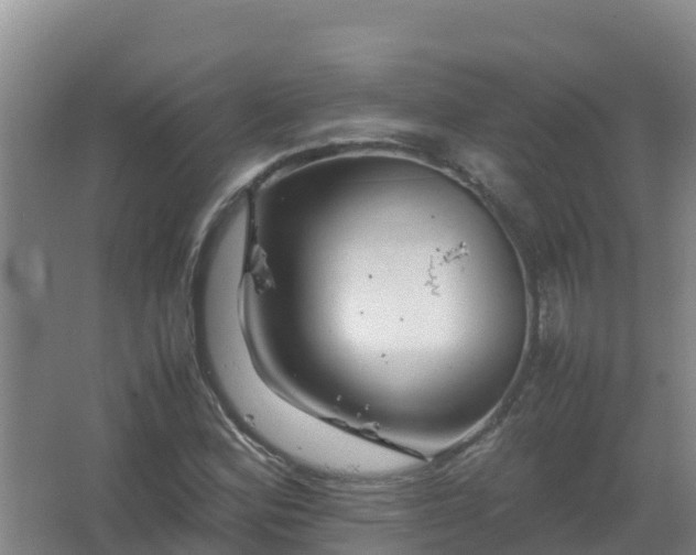 X0000067461164200604142317