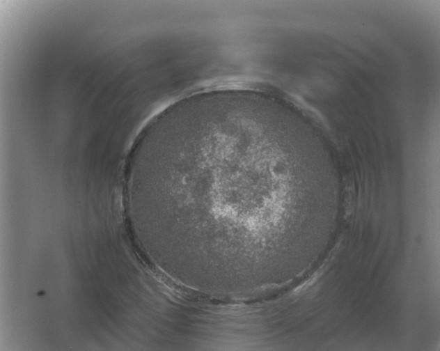 X0000067461166200604142317