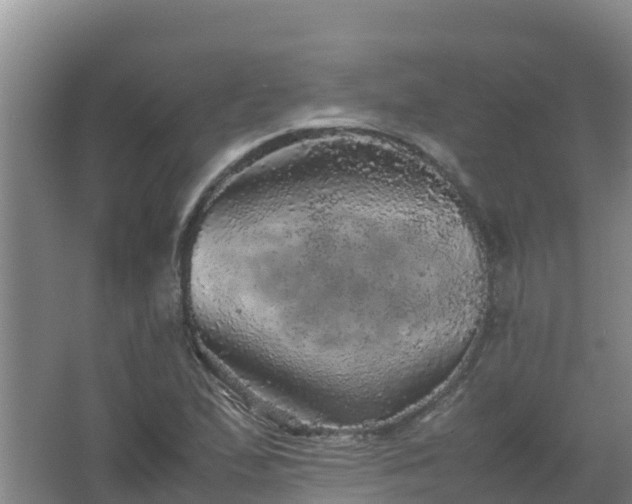 X0000067461167200604142317