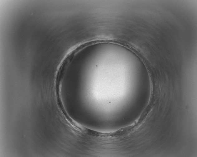 X0000067461168200604142317