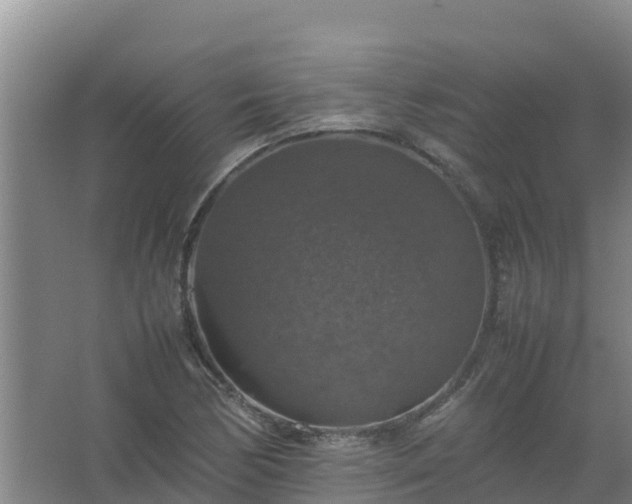 X0000067461170200604142317