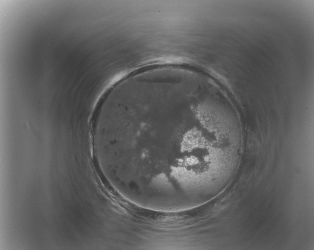 X0000067461171200604142317