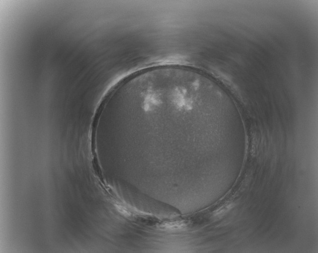 X0000067461174200604142317