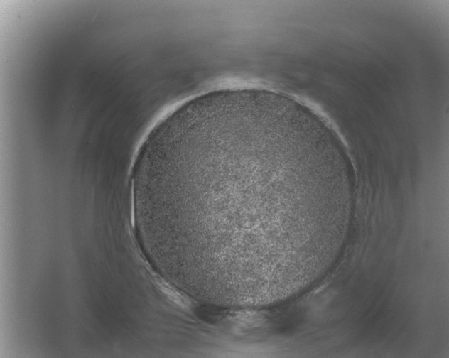 X0000067461175200604142317