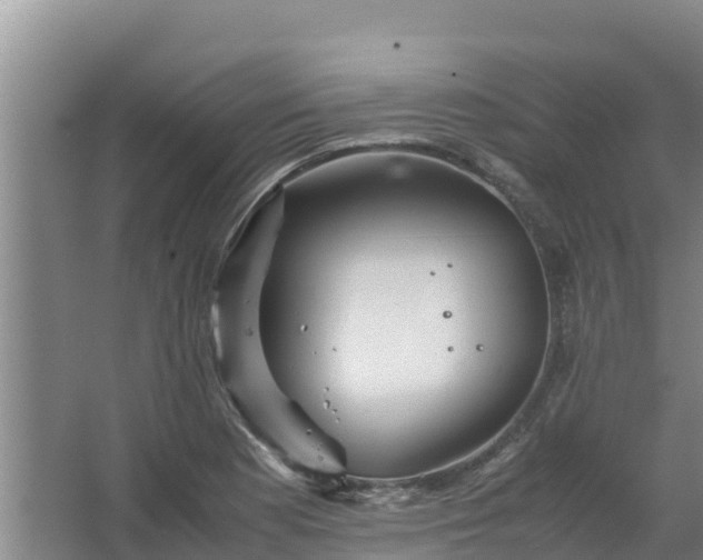 X0000067461177200604142317