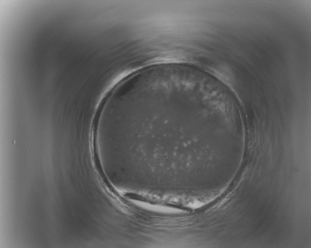 X0000067461179200604142317