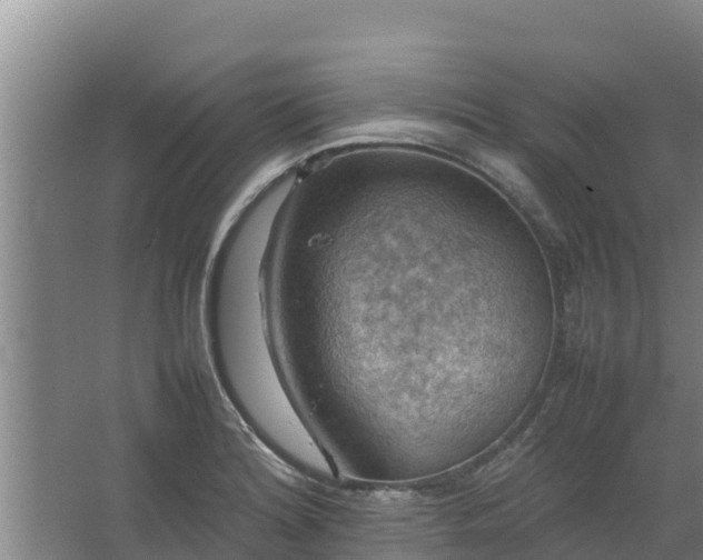 X0000067461180200604142317