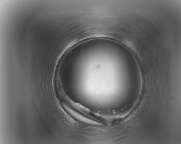 X0000067461181200604142317