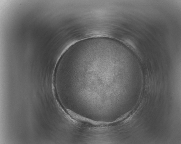 X0000067461182200604142317