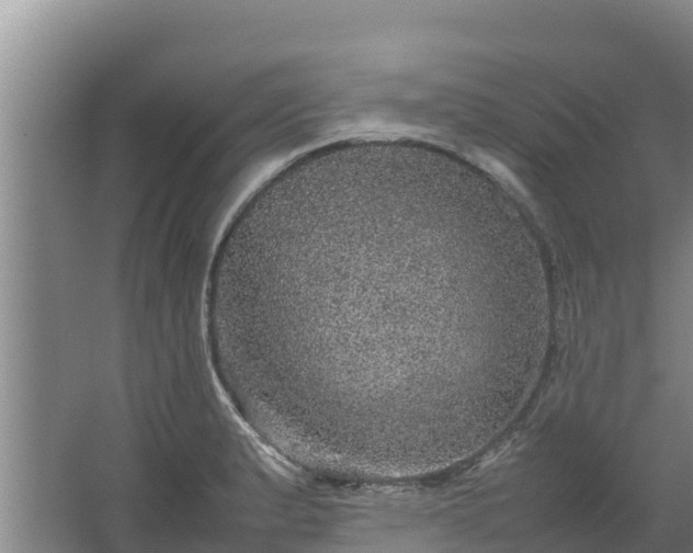 X0000067461183200604142317