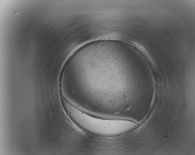 X0000067461184200604142317