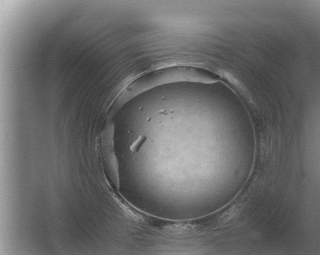 X0000067461185200604142317