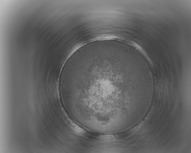 X0000067461186200604142317