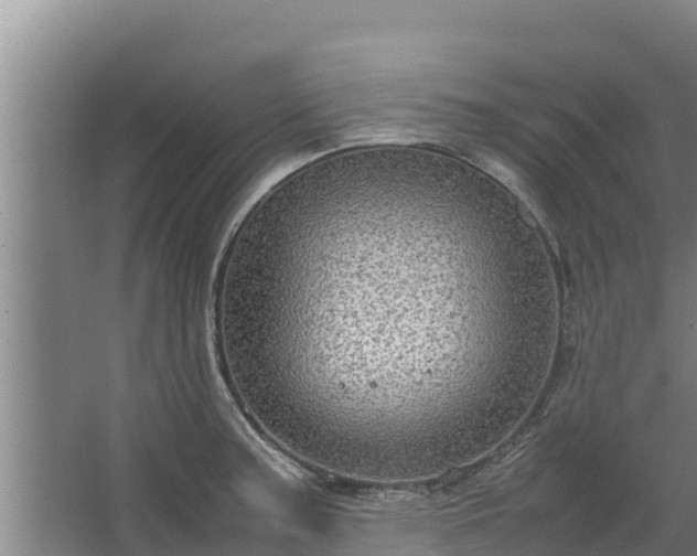 X0000067461187200604142317