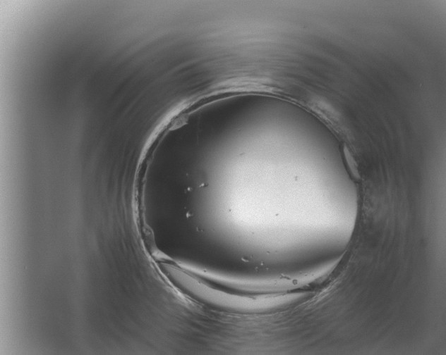 X0000067461188200604142317