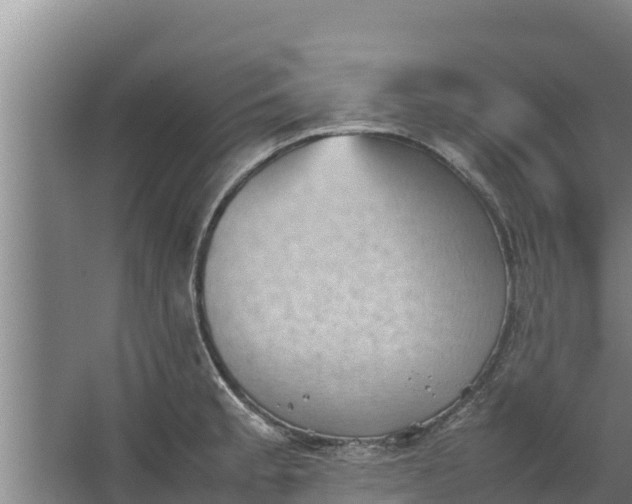 X0000067461189200604142317