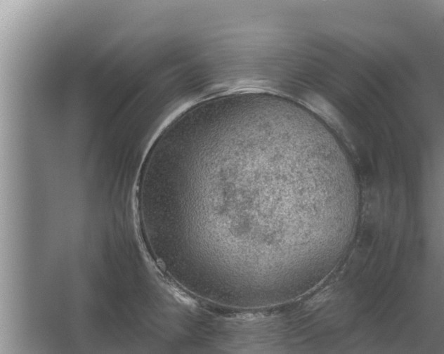 X0000067461190200604142317