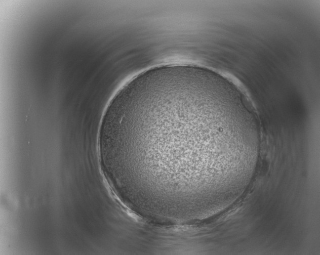 X0000067461191200604142317