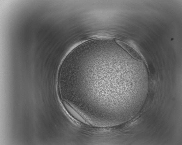 X0000067461195200604142316