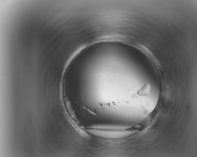 X0000067461196200604142316