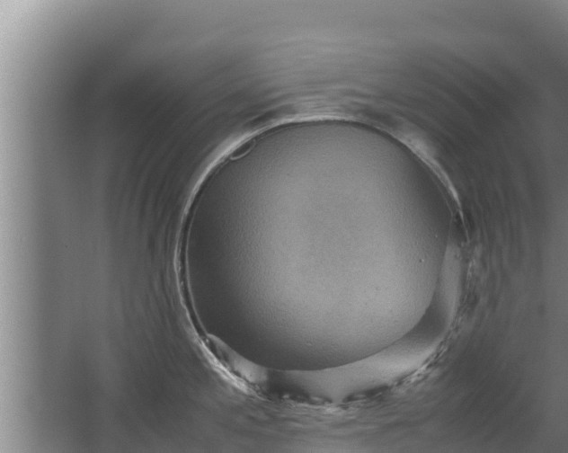 X0000067461197200604142316